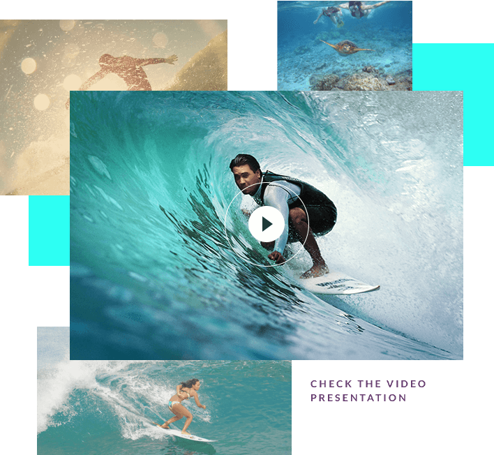 Learn more about surfing in Brazil